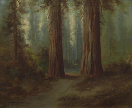 Charles Henry Harmon, "Untitled (Path Through the Sequoia)", oil on canvas