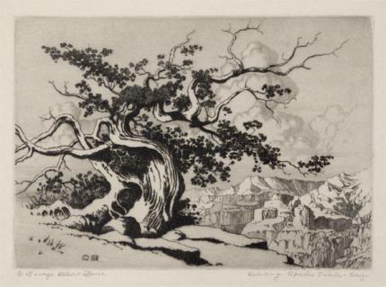 George Elbert Burr, "Evening - Apache Trail - Arizona", etching, c. 1920 painting for sale