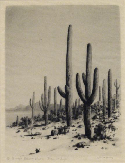 George Elbert Burr, "Giant Cactus, Arizona; edition of 40", etching, c. 1921 painting for sale