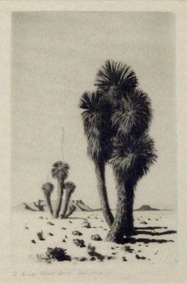 George Elbert Burr, "Yuccas, Arizona (edition of 40)", etching, c. 1921
