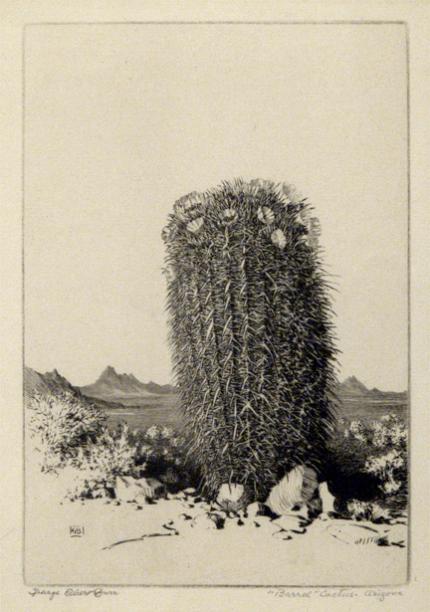 George Elbert Burr, "Barrel Cactus, Arizona; edition of 40", etching, c. 1921 painting for sale