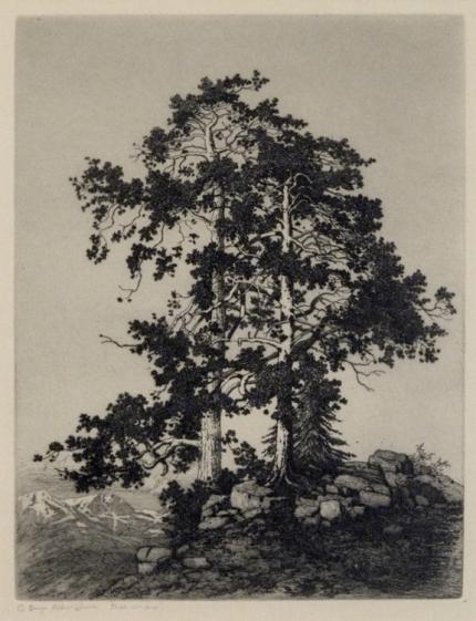 George Elbert Burr, "Unknown (Two Pines)", etching, c. 1915 painting for sale