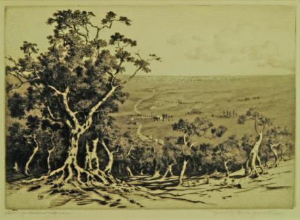 George Elbert Burr, "Road to Rome from Tivoli", etching, c. 1905