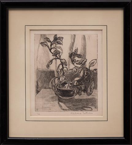 Barbara Latham, still life plant lithograph, 1926 new mexico painting fine art for sale purchase buy sell auction consign denver colorado art gallery museum