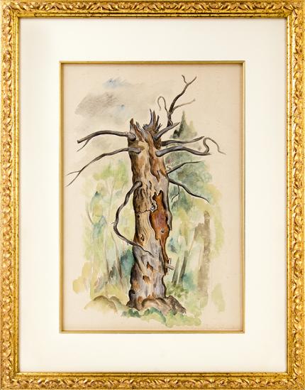 Louise Ronnebeck, Tree Stump, forest interior, vintage, art, for sale, watercolor, painting, woman artist, female, green, brown, gray, gnarled, Emerson