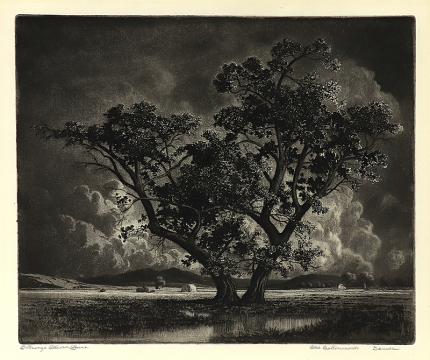 George Elbert Burr, Old Cottonwoods, Denver, Colorado, aquatint etching, circa 1920, engraving, fine art, for sale, denver, gallery, colorado, antique, buy, purchase