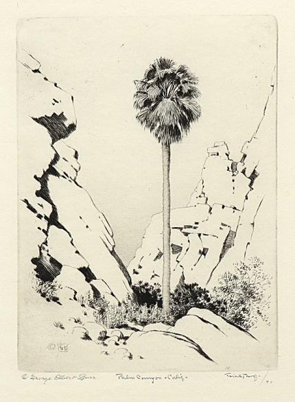 George Elbert Burr, Palm Canyon, California , Desert Set, etching, circa 1921, engraving, fine art, for sale, denver, gallery, colorado, antique, buy, purchase