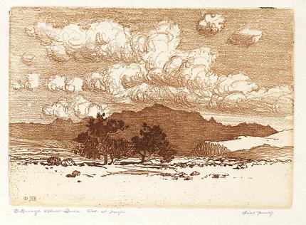 George Elbert Burr, Palo Verde Trees , Desert Set, etching, circa 1921, engraving, fine art, for sale, denver, gallery, colorado, antique, buy, purchase