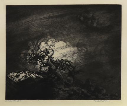 George Elbert Burr, Timberline Storm , Storm near Timberline, Colorado, etching, circa 1922, engraving, fine art, for sale, denver, gallery, colorado, antique, buy, purchase