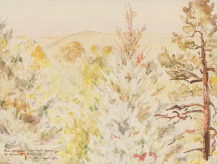 Elisabeth Spalding, Blue Spruce, Colorado Springs, Trees, Colorado, Mountain, Landscape, aspen, watercolor, 1942, 1940s, woman artist, female, denver artists guild, Vintage, Fine art, original, for sale, purchase, gallery, museum, Denver, Colorado, consign 