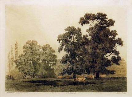George Elbert Burr, "Oaks Near Windsor, edition of 4", etching, c. 1900
