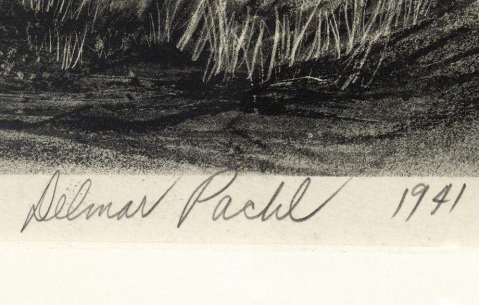 Delmar Max Pachl, 