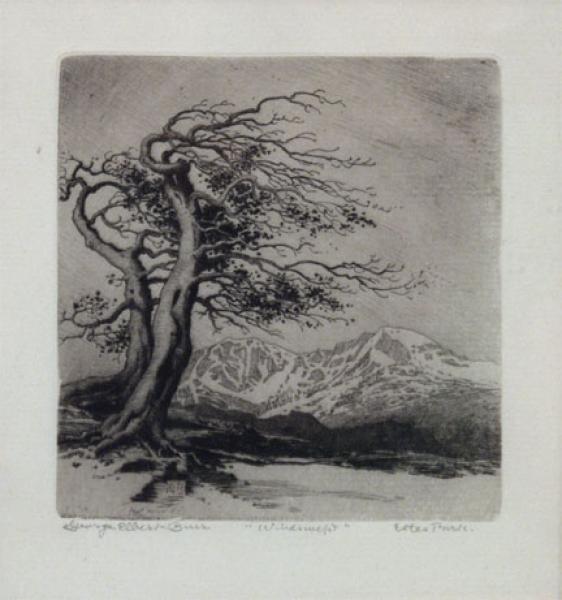 George Elbert Burr, 
