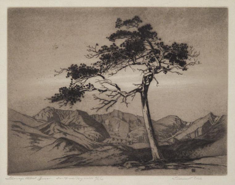 George Elbert Burr, 