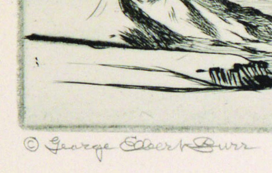 George Elbert Burr, 
