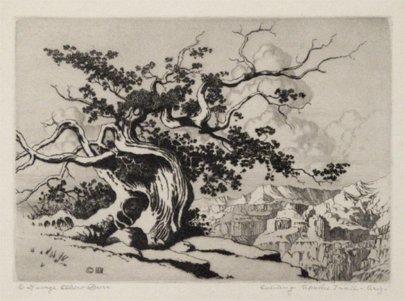 George Elbert Burr, 