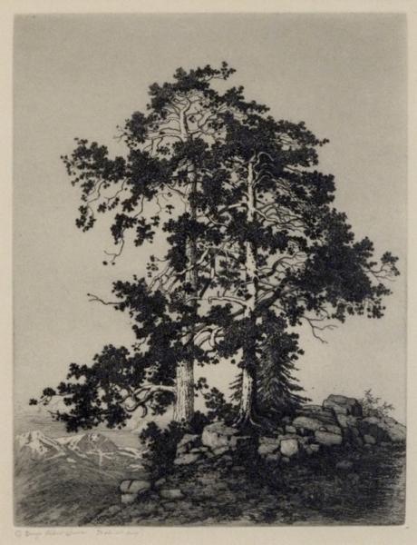 George Elbert Burr, 