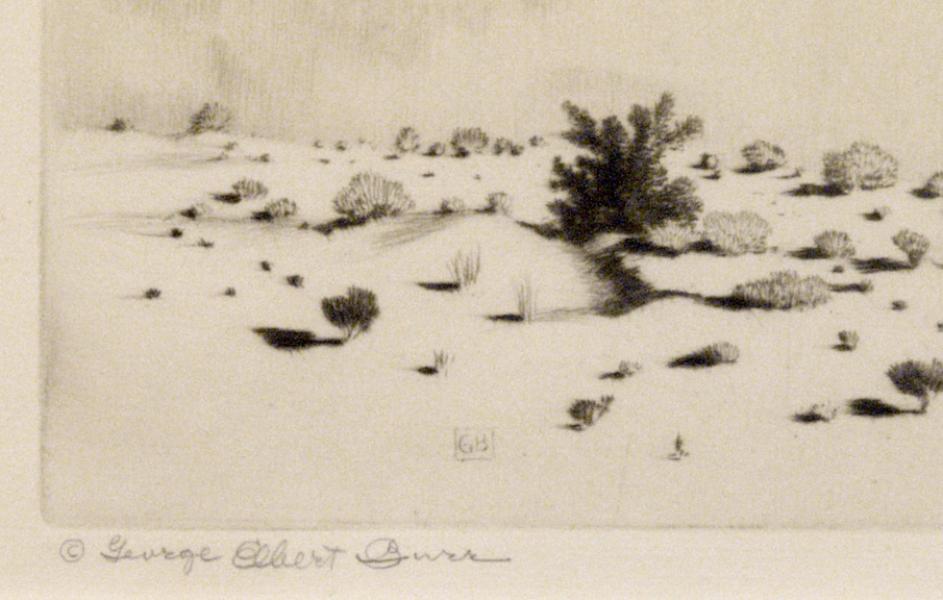 George Elbert Burr, 