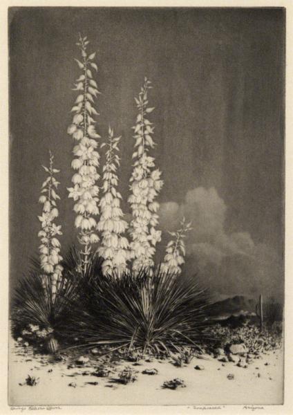 George Elbert Burr, 