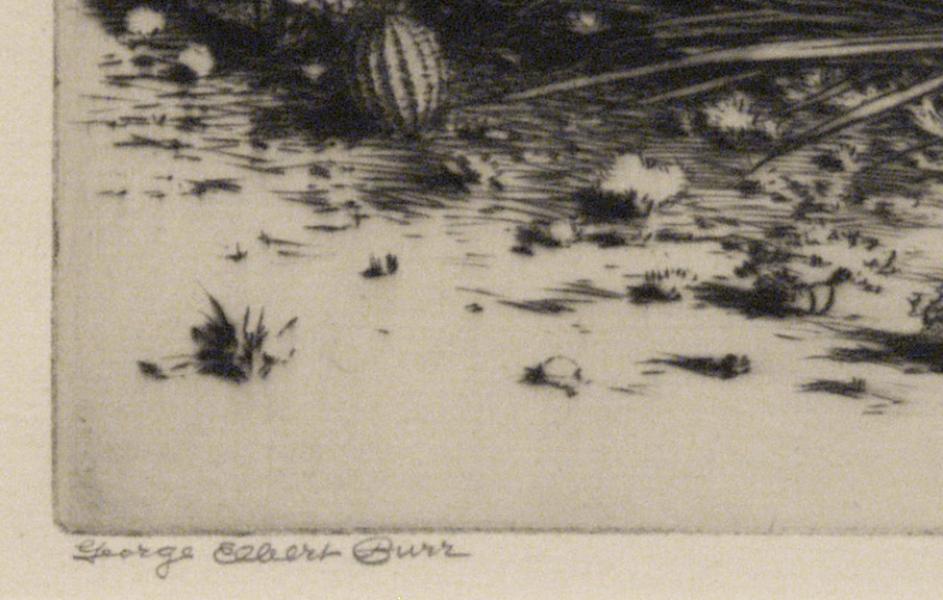 George Elbert Burr, 