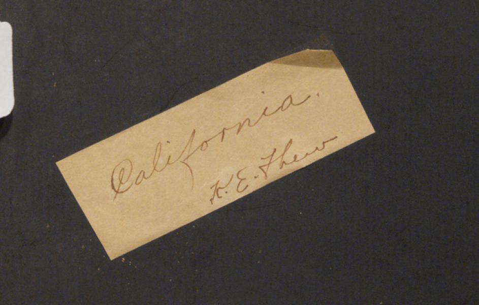 Kate Elizabeth Johnson Thew, 