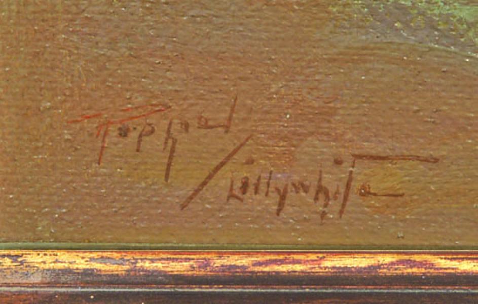 Raphael Lillywhite, 