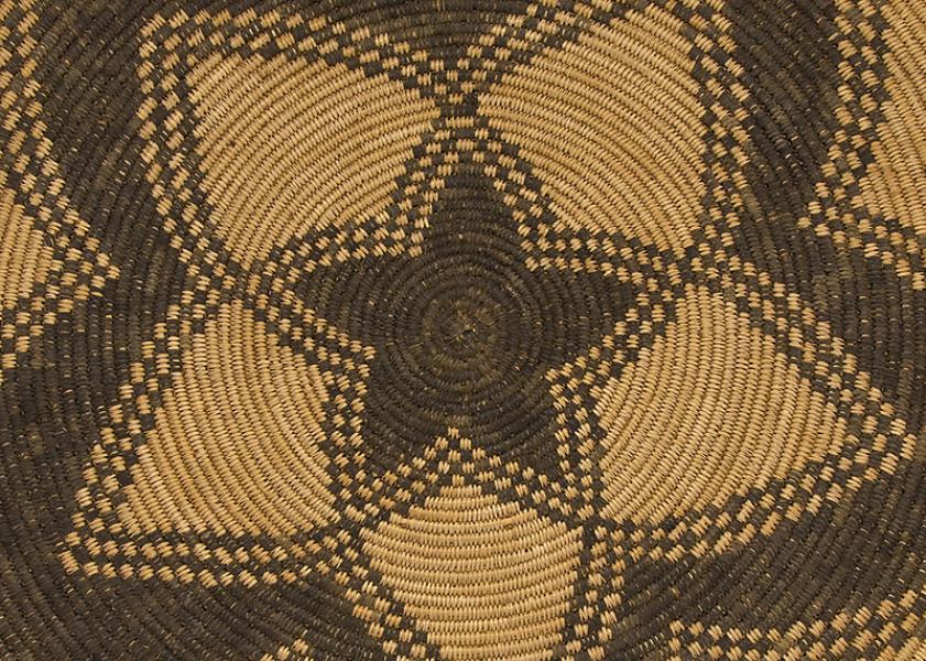 apache basket willow devils claw star suns