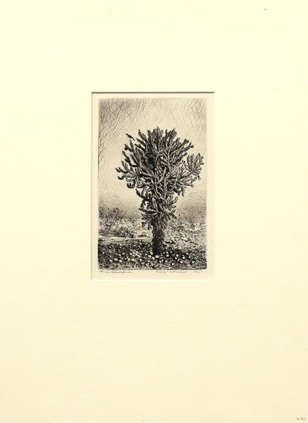 George Elbert Burr, 